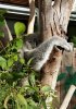 20160516_100921.jpg