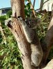 20160516_101021.jpg