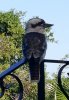 20160516_111124.jpg