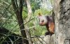 20160516_112657.jpg