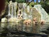 Jungle Cruise_03.jpg