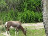 IMG_9902 - Copy.JPG