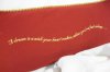 Red Pillow back - wonder 2012 1456 100_6536.JPG