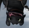 silly toothless.png
