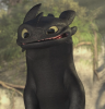 t4.png