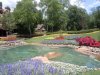 Epcot flowers1.jpg