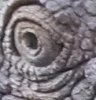 crop 50.jpg