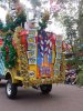DSCN0737.jpg