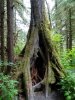 2016-05-28 (2) (768x1024).jpg
