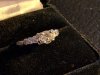 IMG_20160207_160535.jpg