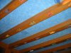 disney vacation 007.jpg
