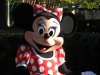Minnie.jpg