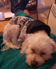 upload_2016-6-5_11-21-27.png