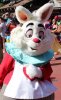 IMG_2361.jpg