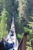Suspension Bridge_2.jpg