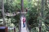 Treetop Adventure_2.jpg