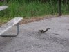 IMG_0014a.jpg