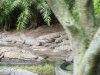 IMG_0300.JPG