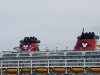 20160607_174404-1024x768.jpg
