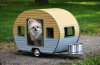 puppy_camper.jpg