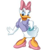 dasiy.png