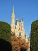 IMG_3782.JPG