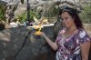 MK_BELLEVILLAGEBRIDGEICONNC_20160509_7682748934 (800x533).jpg