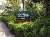 Animal Kingdom Sign.JPG