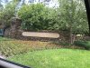 IMG_4749.JPG