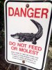 do-not-feed-or-molest.jpg