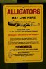 Alligators May Live Here Warning Sign in Mount Pleasant South Carolina Photo Credit Zack Neher.jpg