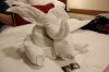 towel animal day 1_4_24.jpg