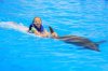 nat-dolphin.jpg