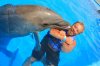 rocky-dolphin.jpg