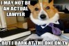 turtleboy-lawyer-630x420.jpg