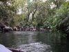 DL Jungle Cruise elephants.jpg
