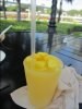 IMG_5005 (600x800).jpg