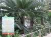 IMG_0879.jpg