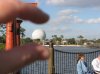 Decor tiny epcot ball.jpg