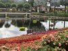 IMG_4697 (800x600).jpg