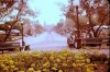 Main Street.jpg