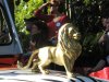 IMG_3647.JPG