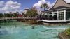 dinsey springs2.jpg