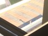 Hidden Mickey 2.JPG