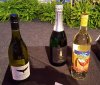 20160626_122035.jpg
