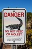 Don't molest the Alligators.jpg