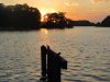 IMG_3466.JPG