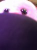 11855708_10100992799279793_8499078405600779044_n.jpg