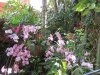 IMG_4727 (800x600).jpg