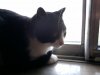 120319_0004.jpg